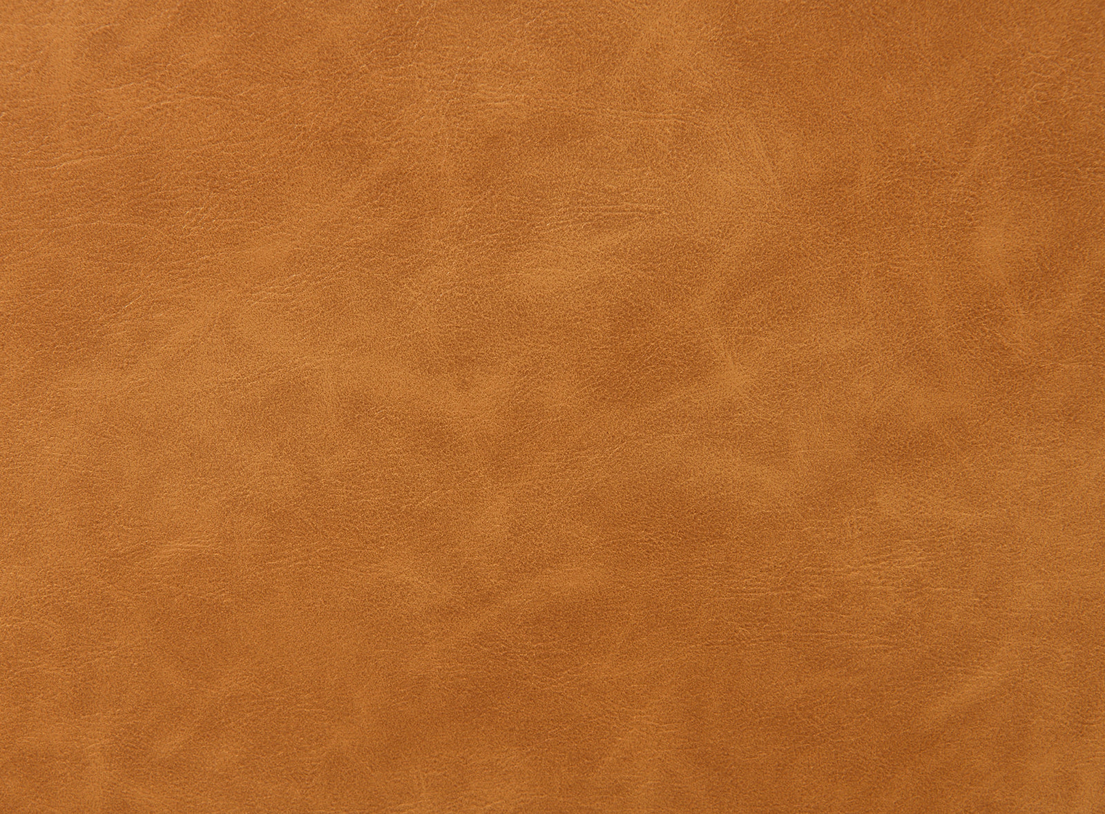 Psyche Pushback Recliner